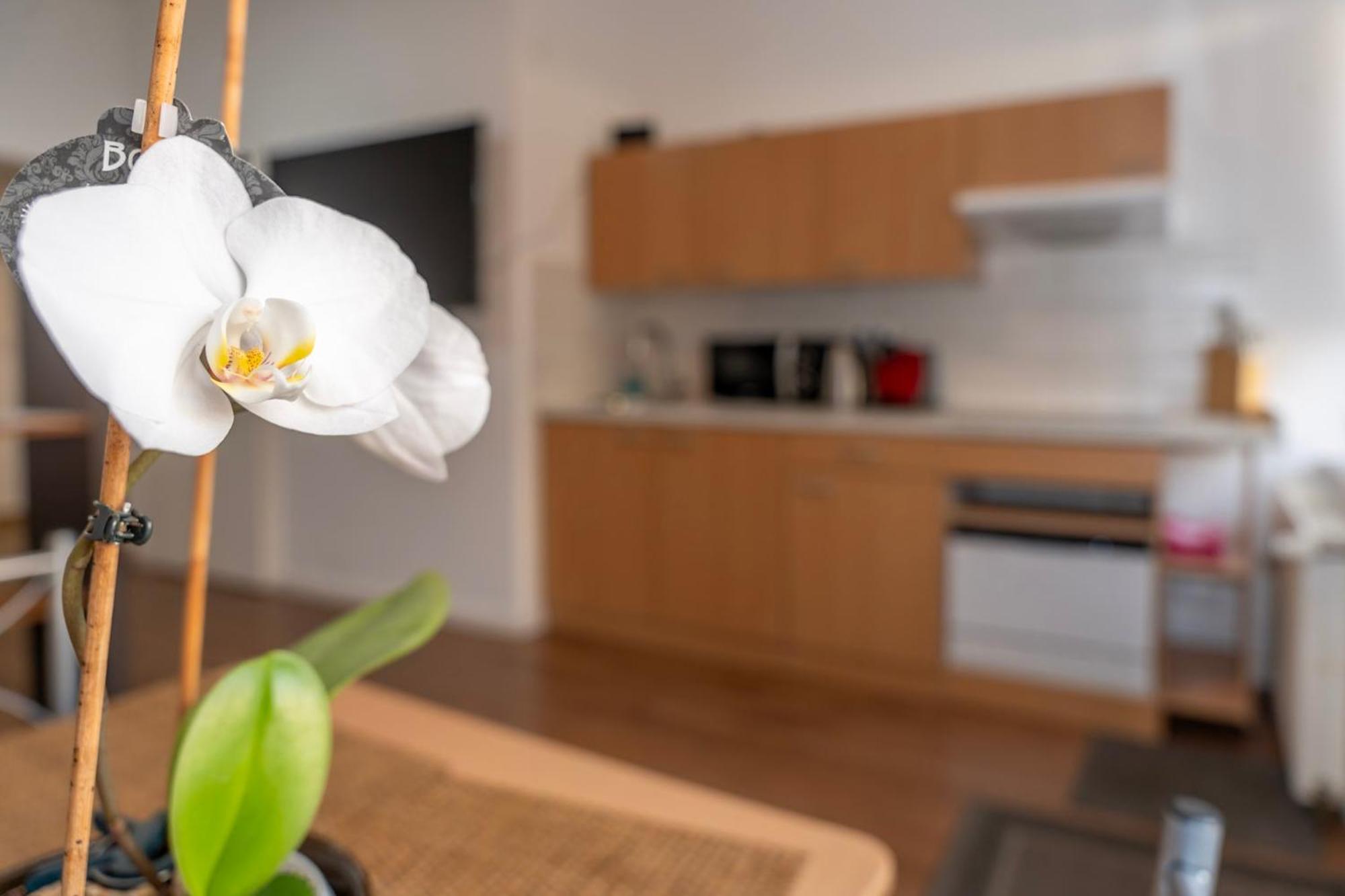 Cosy Nest - Apartment By Comfort Housing ฟัลเคนซี ภายนอก รูปภาพ